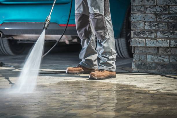 Best Window and Screen Pressure Cleaning in Staples, MN