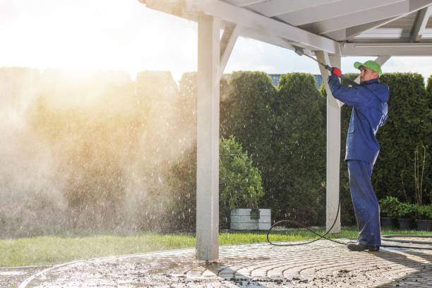 Trusted Staples, MN Pressure Washing Services Experts