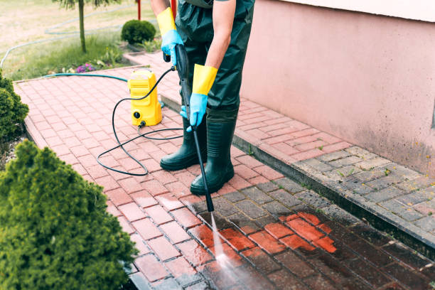 Best Gutter Cleaning and Brightening in Staples, MN